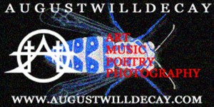 --AWD BEE SMALL THIN WITH PROMO JPEG 600